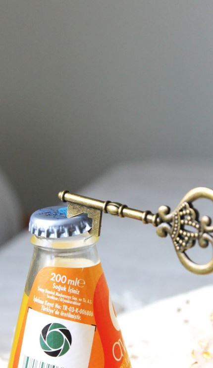 2li Metal Anahtarlik Sise Acacagi - TrendTrove